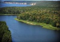 Food-water-forests nexus stressed at FAO’s International Day of Forests event