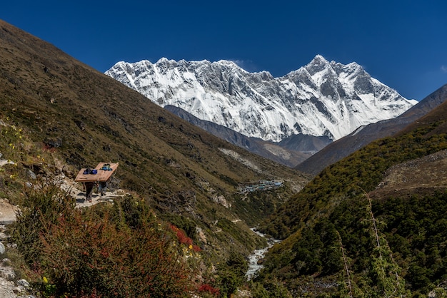 How Many Climbed Everest?
