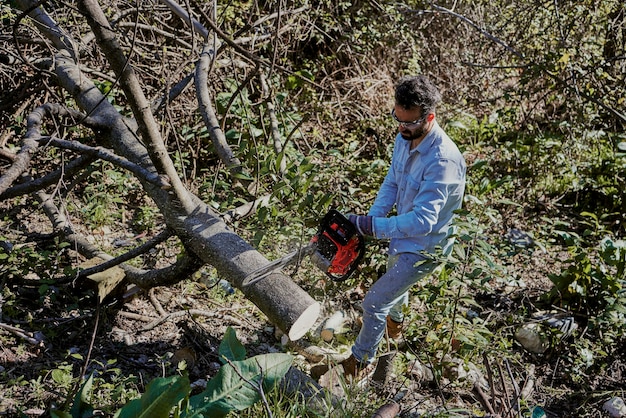 How Much Do Forestry Consultant Make Period?
