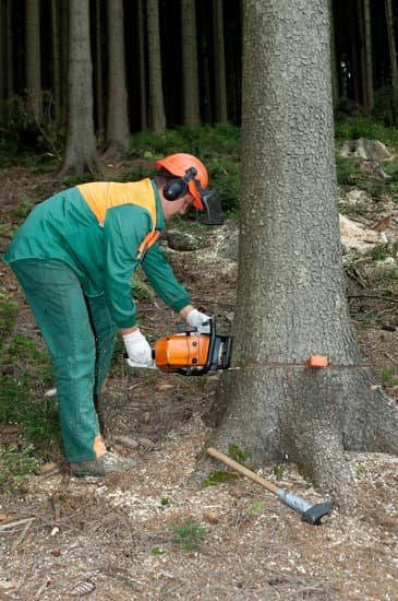 How To Use A Clinometer For Grade Forestry?