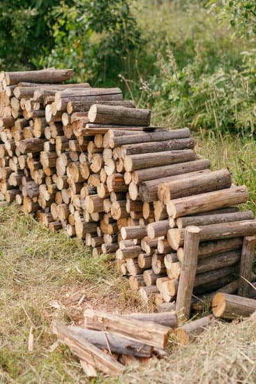 Is Forestry In Bed With Timber Industry?
