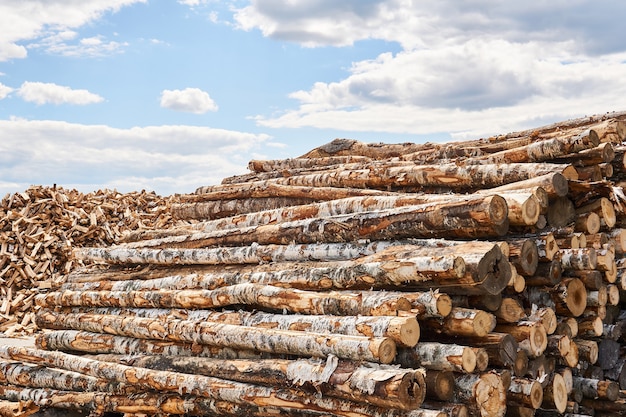 What Does The Public Think Forestry Is?