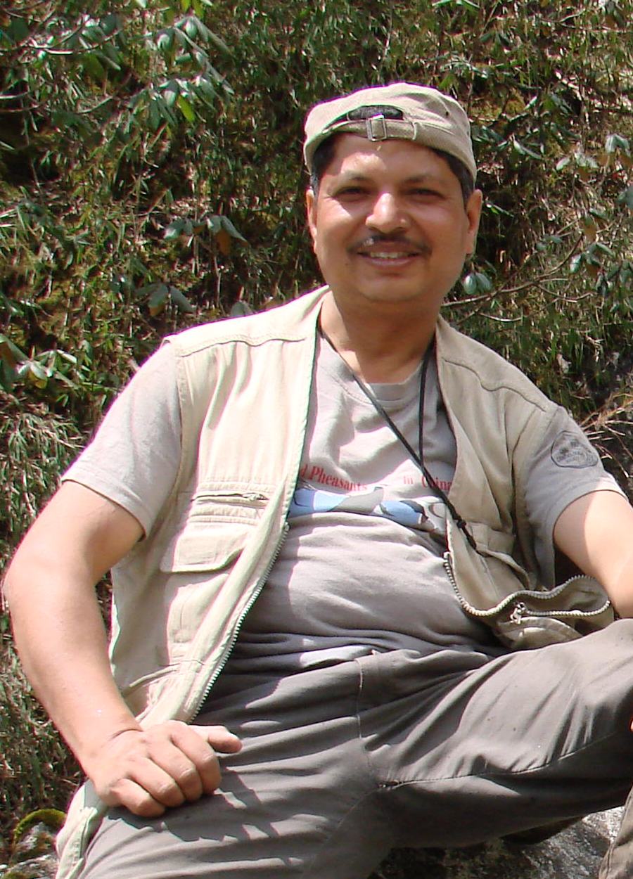 Laxman Prasad Poudyal's picture Laxman Prasad Poudyal's picture