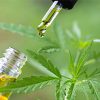 The Revolutionary Ways CBD is Being Used